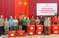 Relief handed to storm victims in Quang Ngai