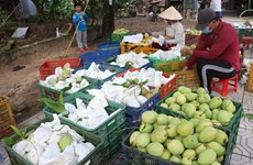 Planting area codes key for Vietnam's farm produce exports