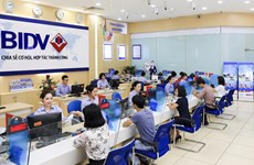 Higher funding costs to have limited impact on Vietnamese banks