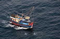 Vietnam takes more efforts to eradicate illegal fishing: Thai news site