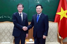 Vietnam keen on boosting partnership with Japanese localities: official