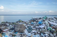 Stronger regional cooperation proposed to reduce marine litter