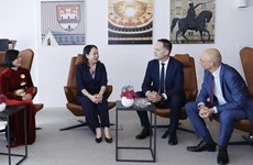 Vice President’s visit to help reinforce Vietnam - Croatia ties: Ambassador