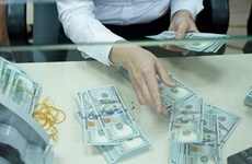 Reference exchange rate up 10 VND at week’s beginning