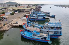 Ninh Thuan province tackles IUU fishing