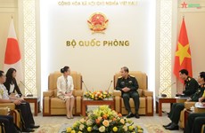 Vietnam, Japan boost UN peacekeeping cooperation 
