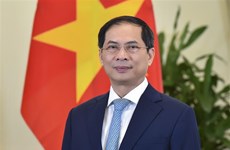 FM: Vietnam to join hands with int’l community to build a world of peace