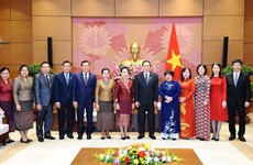 Vietnamese, Lao NAs share experience in social affairs
