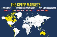Vietnam’s exports to CPTPP countries up 38.7% in January- August period