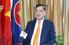 Singaporean President’s visit to further intensify strategic partnership with Vietnam: ambassador