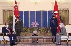 Experts suggest ways to enhance Vietnam-Singapore partnership  