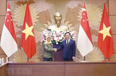 Vietnam-Singapore strategic partnership is developing fruitfully: Leaders