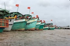 Ca Mau: all fishing vessels equipped with VMS equipment