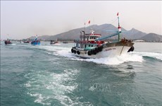 Thanh Hoa strictly monitors vessels to prevent IUU fishing