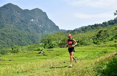 Canadian, Belgian runners win Vietnam Jungle Marathon
