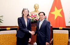 UNDP always attaches importance to cooperation with Vietnam