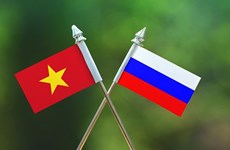 Webinar seeks to step up Vietnam – Russia cooperation