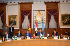 Vietnam, Egypt eye closer collaboration
