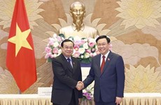Vietnam values, prioritises traditional ties with Laos, Cambodia: top legislator