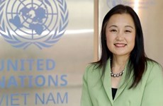 Vietnam achieves significant progress in anti-domestic violence work: UNFPA Representative