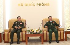 Vietnam, Laos step up practical cooperation in defence
