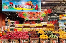 Embassy works to boost economic diplomacy between Vietnam, Thailand