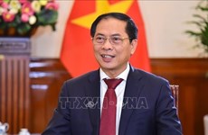Vietnam-China relations to get new push to grow further: Foreign Minister