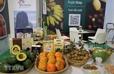 Vietnam targets over 5 billion USD in fruit export turnover by 2025