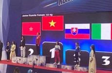 Vietnamese athletes win golds at world martial arts championships