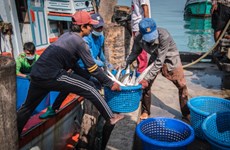 Thailand assists fishermen with low-interest loans 