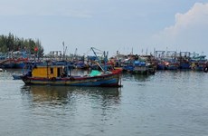Vietnam works hard to prevent fishing vessels' infringement of foreign waters