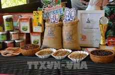 Vietnam’s coffee export expected to hit 4 billion USD this year