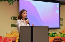 Ample room remains for Vietnam’s fruit exports to Thailand: Forum