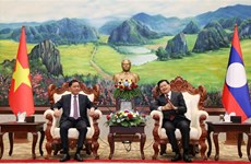 Inspection commissions of Vietnamese, Lao Parties bolster cooperation