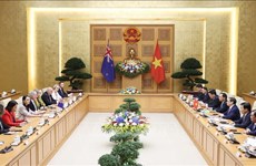 Vietnamese PM holds talks with New Zealand counterpart