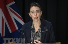 Prime Minister of New Zealand starts official visit to Vietnam