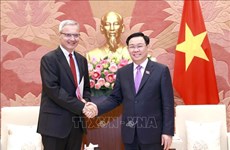 Vietnam treasures Strategic Partnership with France: NA Chairman 