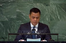 Vietnam calls for UN Security Council reform 