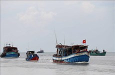 Coordination needed to handle fishing boats losing contact at sea: ministry