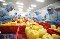 Four out of 10 Vietnamese businesses benefit from EVFTA: VCCI survey