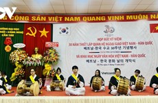 Vietnam-RoK cultural day held in Can Tho