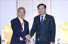 Vietnamese, Thai top legislators meet in Cambodia