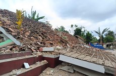 No Vietnamese casualties in Indonesia earthquake yet: ambassador