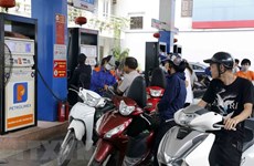 Ministry proposes schemes for fuel environmental tax next year