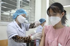 Vietnam reports 546 new COVD-19 cases on November 23