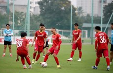 Friendly match against Dortmund important for Vietnam, says Park