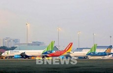 Bamboo Airways records highest punctuality in November