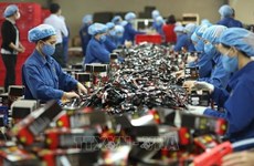  Improving labour productivity crucial to sustainable economic growth: experts