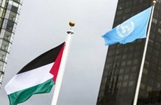President sends greetings on International Day of Solidarity with the Palestinian People