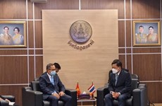 Vietnamese, Thai localities foster cooperation